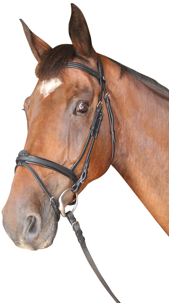 Cabeçada P.E. CAbourg