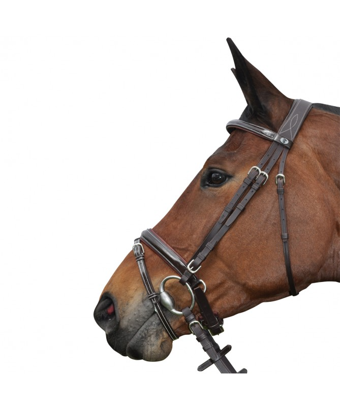 Cabeçada P.E. Cannes