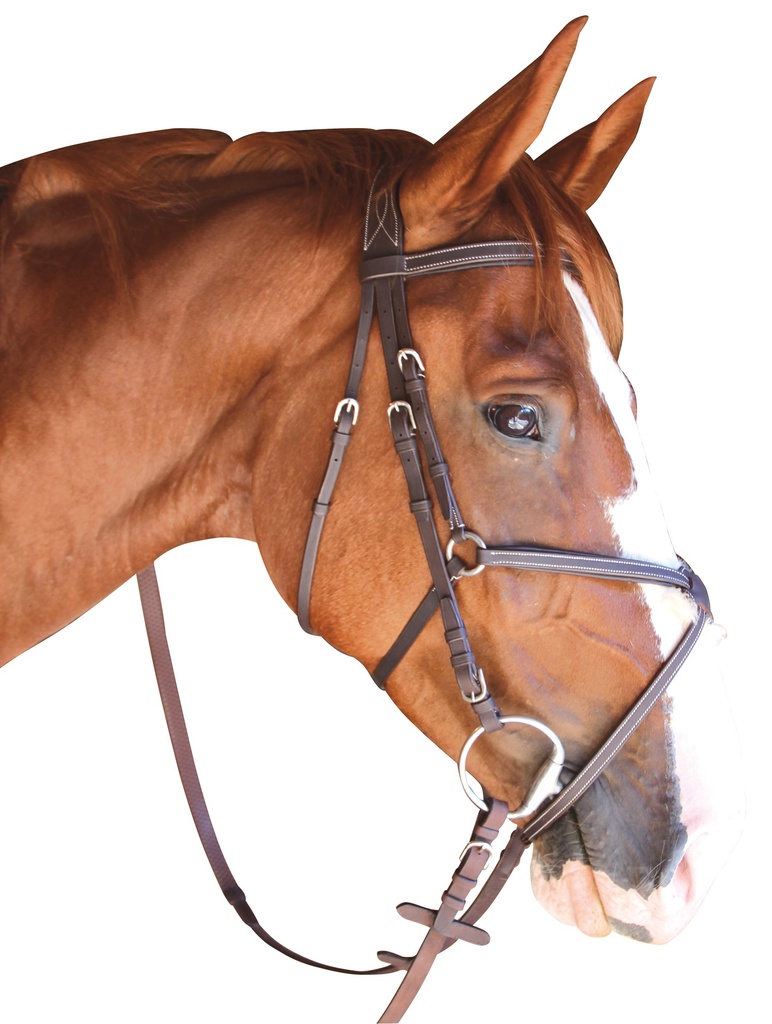 Cabeçada P.E. CAbourg Cruzada