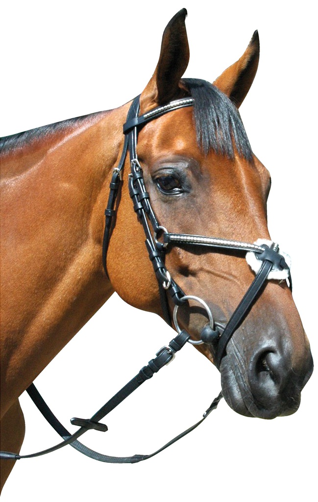 Cabeçada P.E. Deauville Cruzada