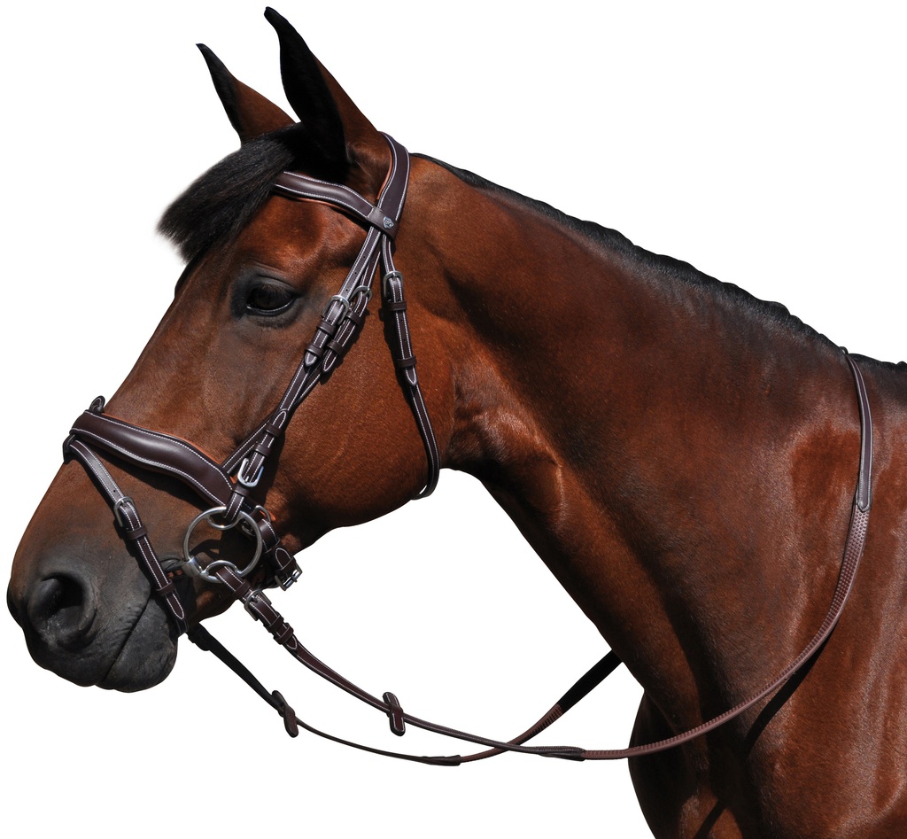 Cabeçada FLAGS&CUP Copenhague