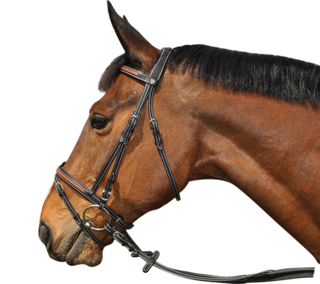 Cabeçada FLAGS&CUP Oslo 