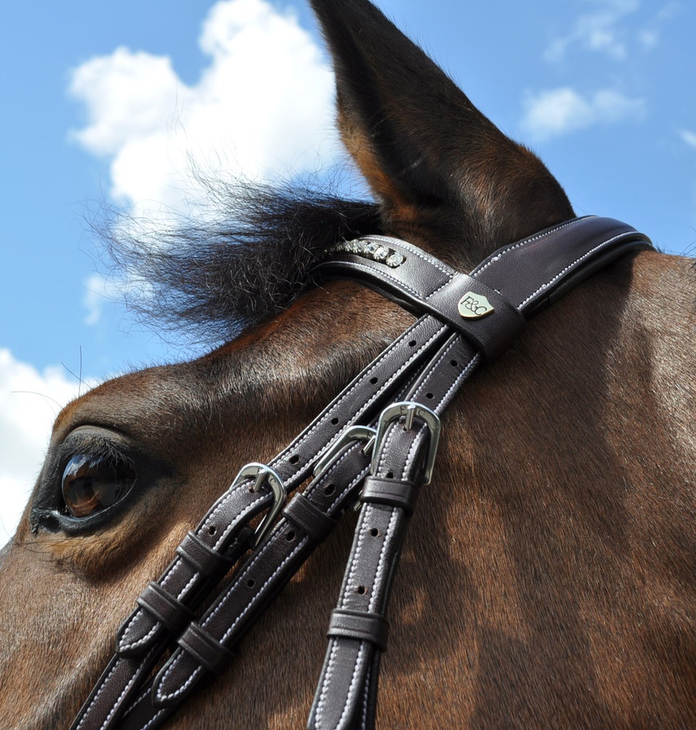 Cabeçada FLAGS&CUP Zürich