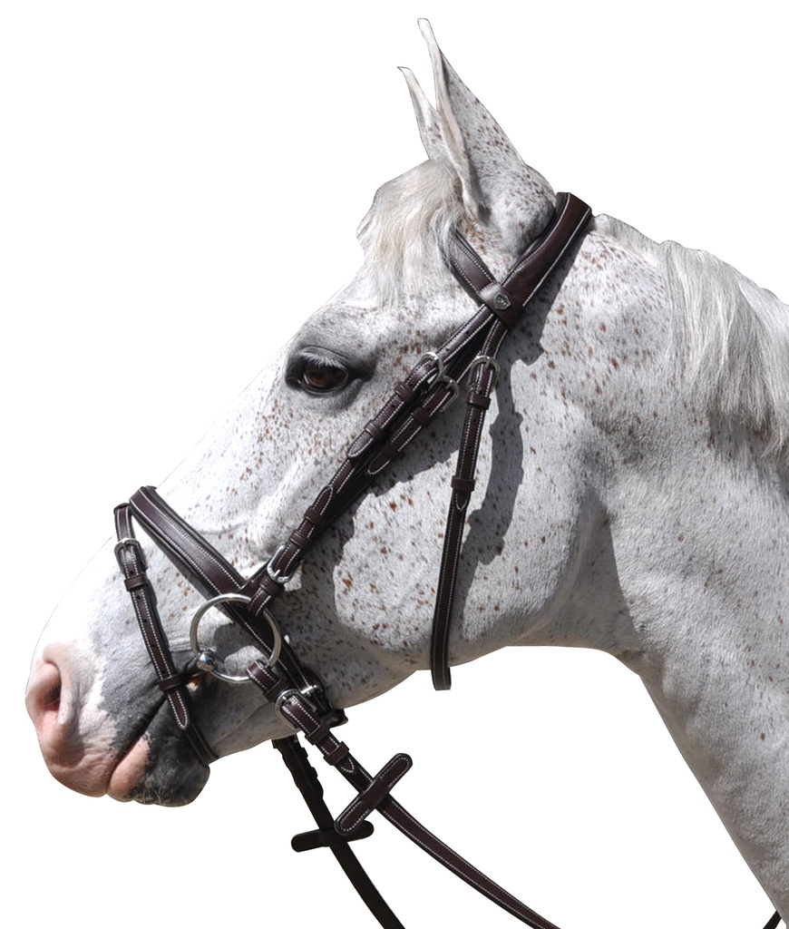 Cabeçada FLAGS&CUP Göteborg