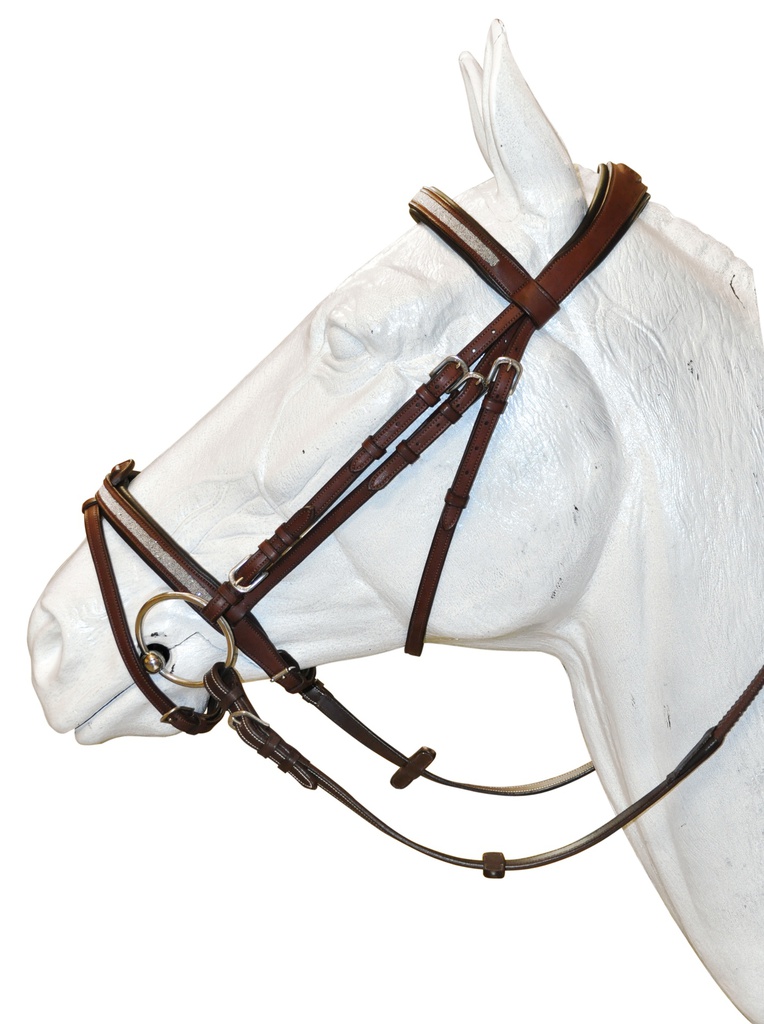 Cabeçada FLAGS&CUP Kitsi