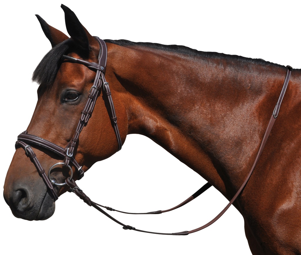 Cabeçada FLAGS&CUP Doha