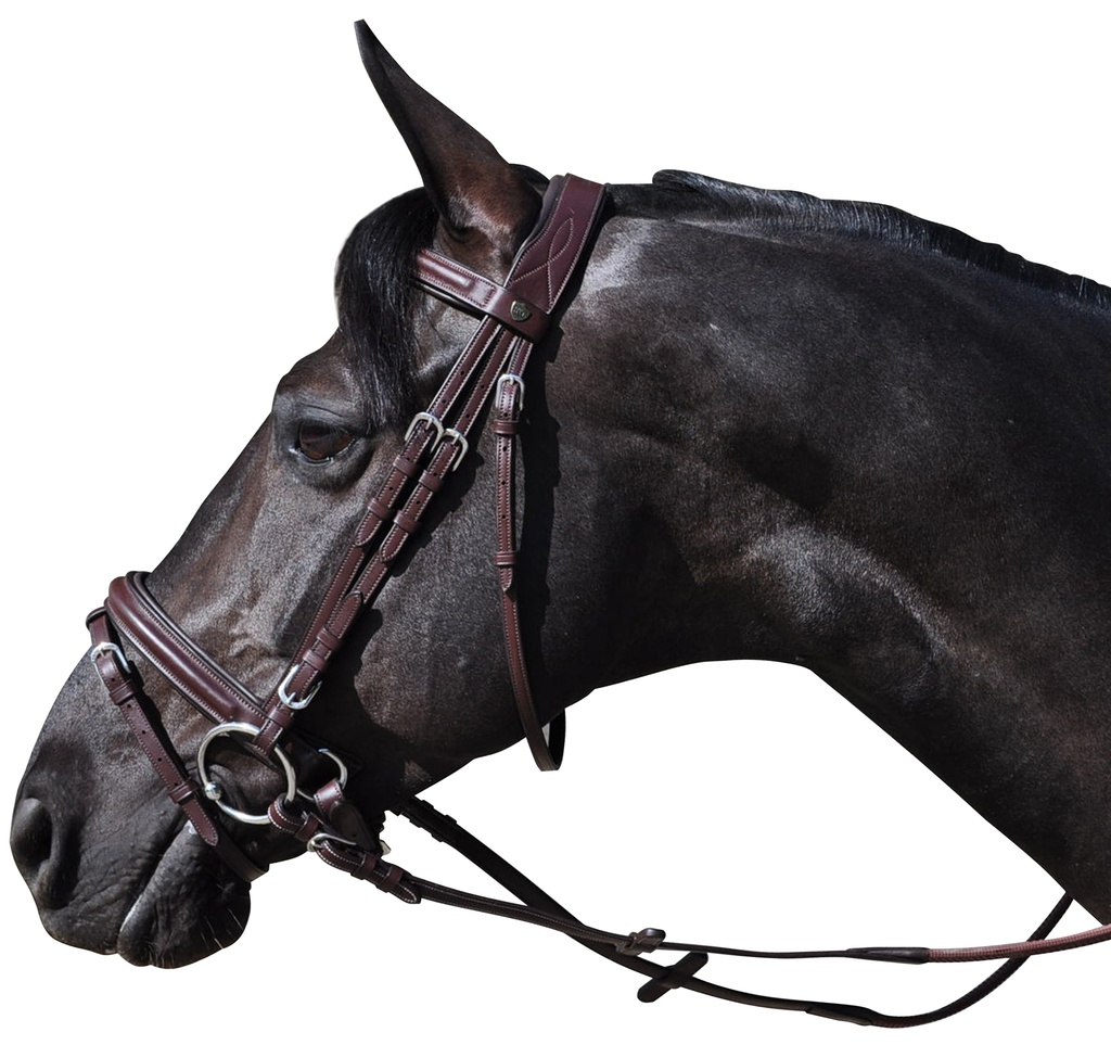 Cabeçada FLAGS&CUP Hickstead