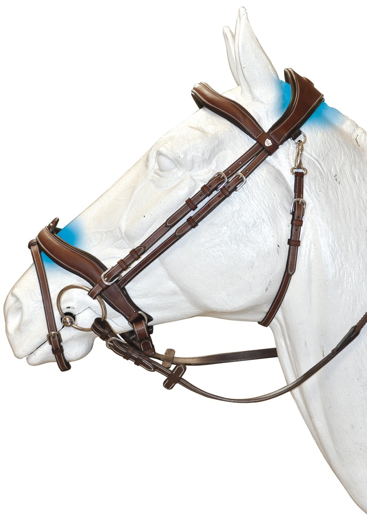 Cabeçada FLAGS&CUP Comfort