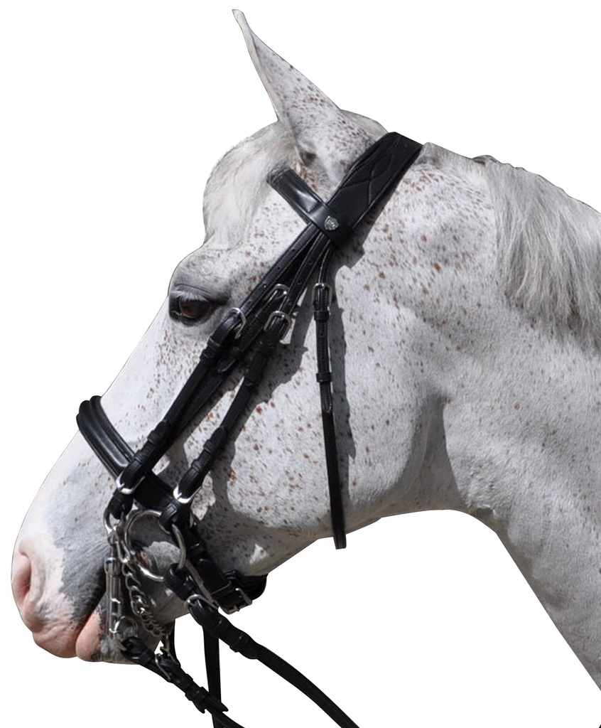 Cabeçada FLAGS&CUP Hagen