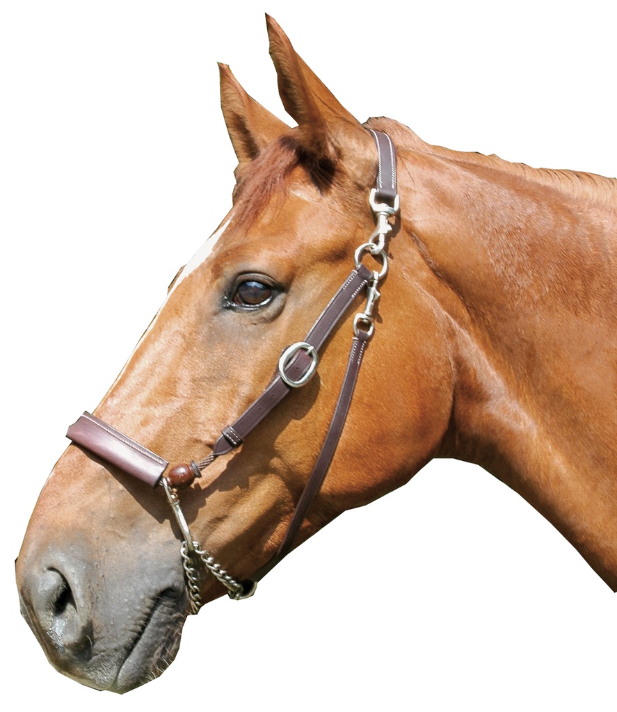 Equi Cabeção Eric Le Tixerant