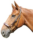 Equi Cabeção Eric Le Tixerant