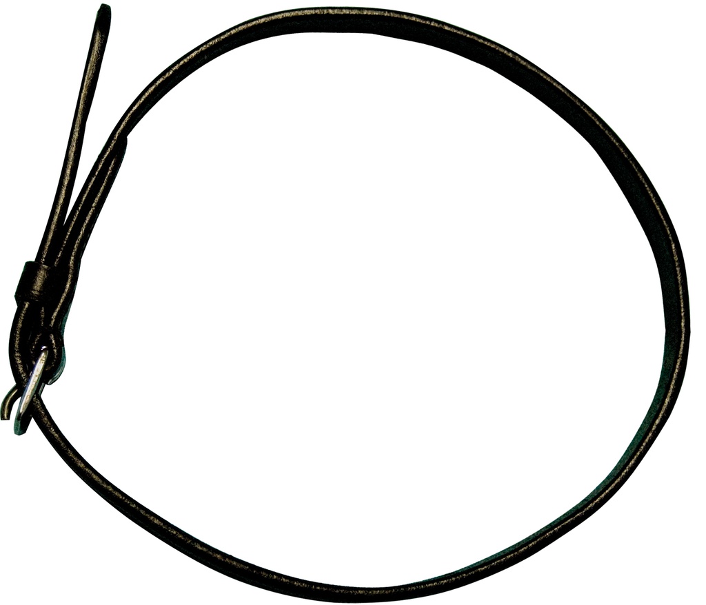 Correia de esporins