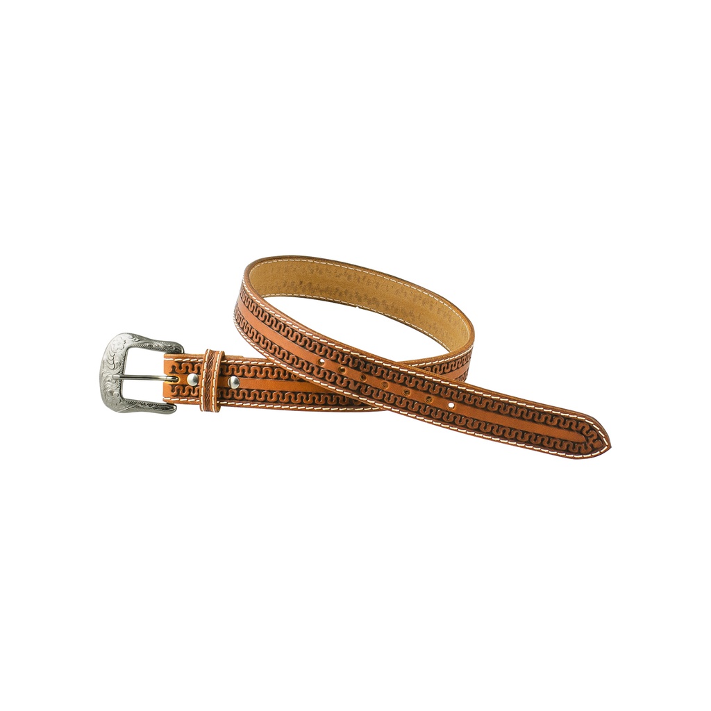 Cinto Pools snake