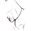 Peitoral Roxane Equestro