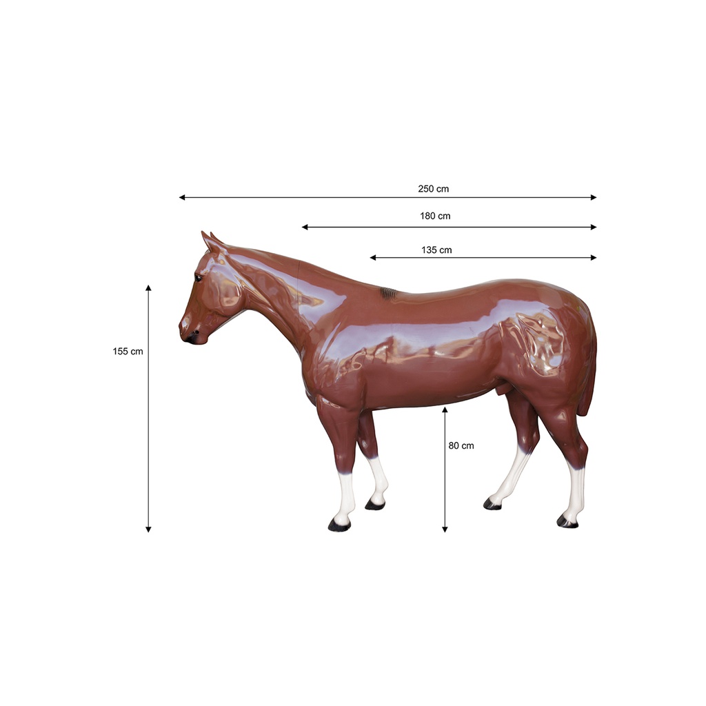 Cavalo de exposição