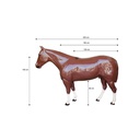Cavalo de exposição
