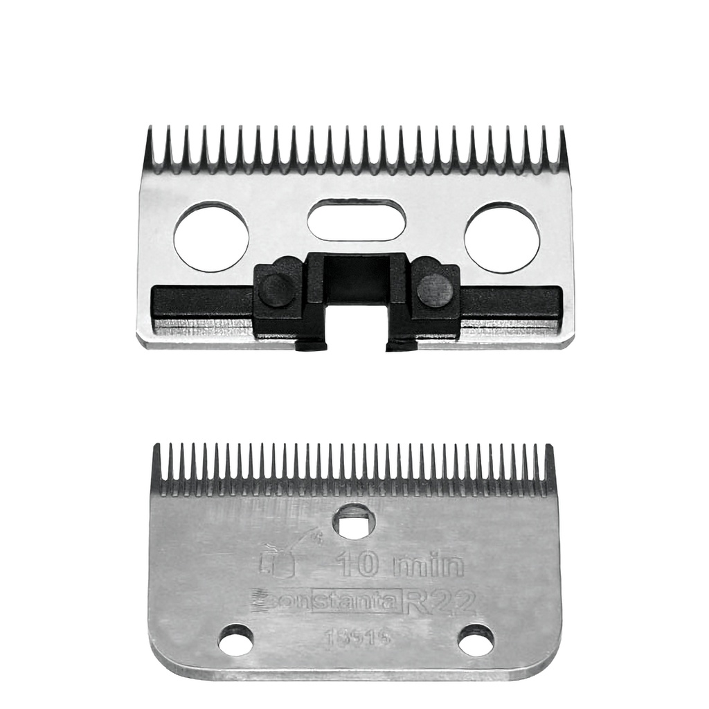 Pente R22 35/24 para Constanta Rodeo