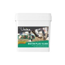 Biotina plus 10.000 1 kg
