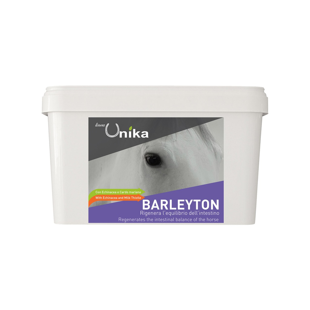 Suplemento intestinal1 kg