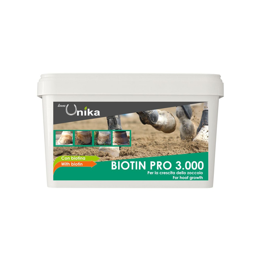 biotina pro 3.000 1 kg