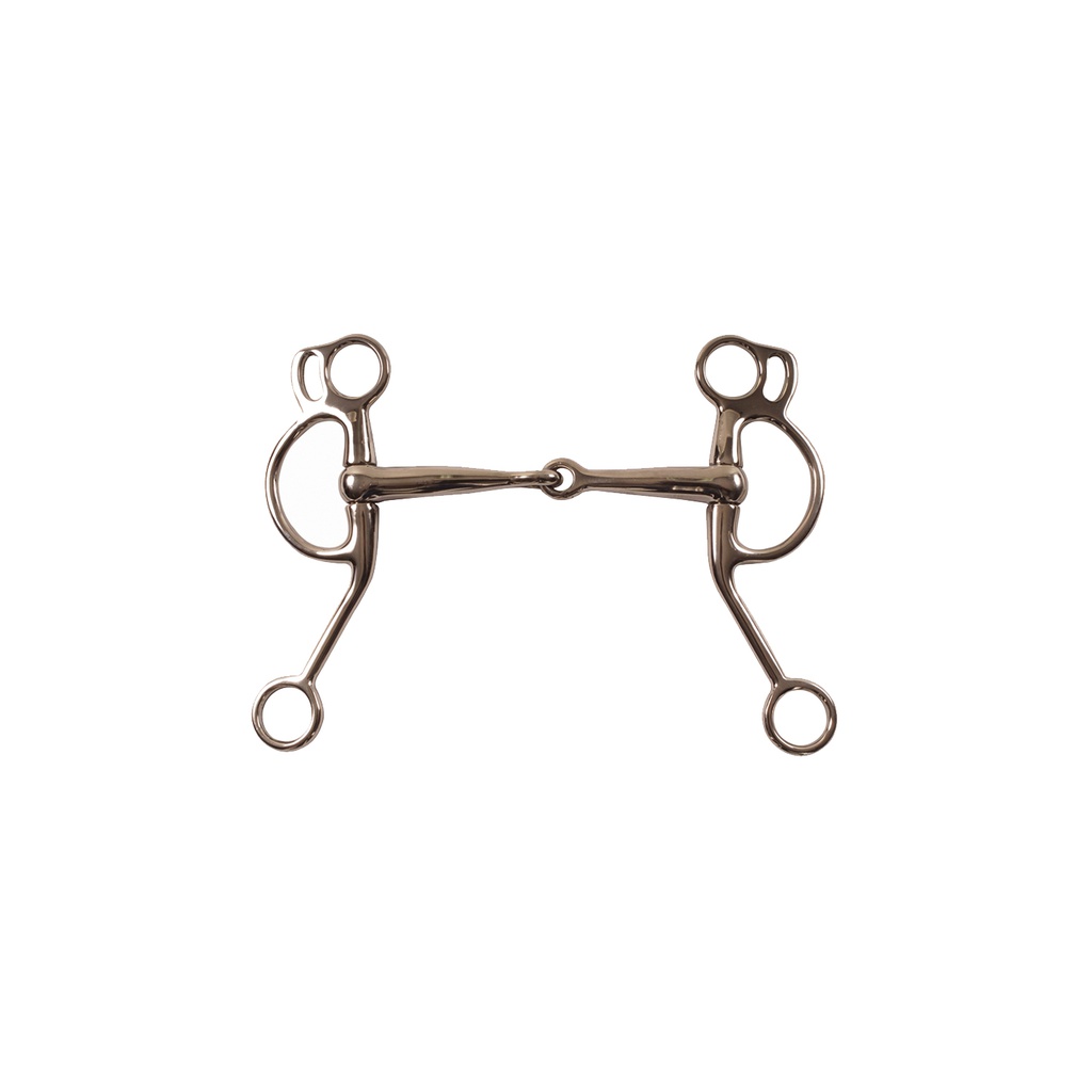 Freio Western inox inclinado