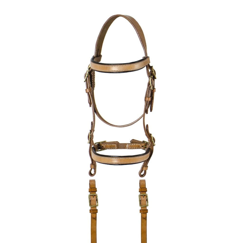 Cabeçada lakota sardinian 