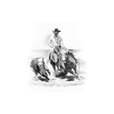 Quadro Equestrian