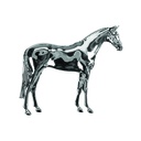 Pino de Gravata Horse