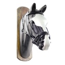 Cabeçada de horse ball