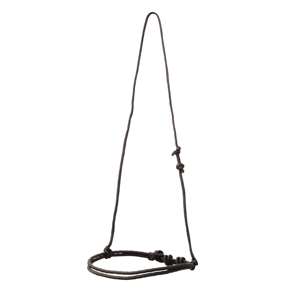 Focinheira pools cord
