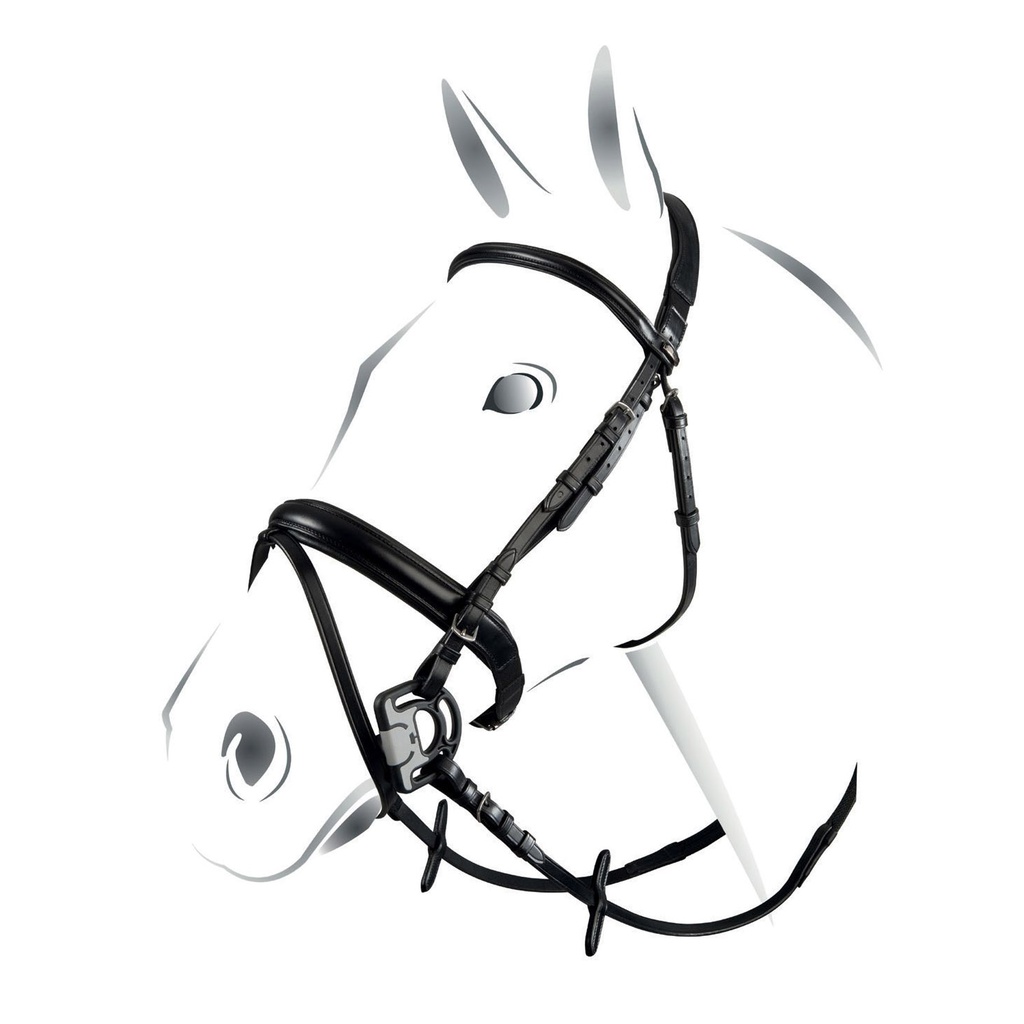 Cabeçada equestro classic