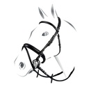 Cabeçada equestro classic