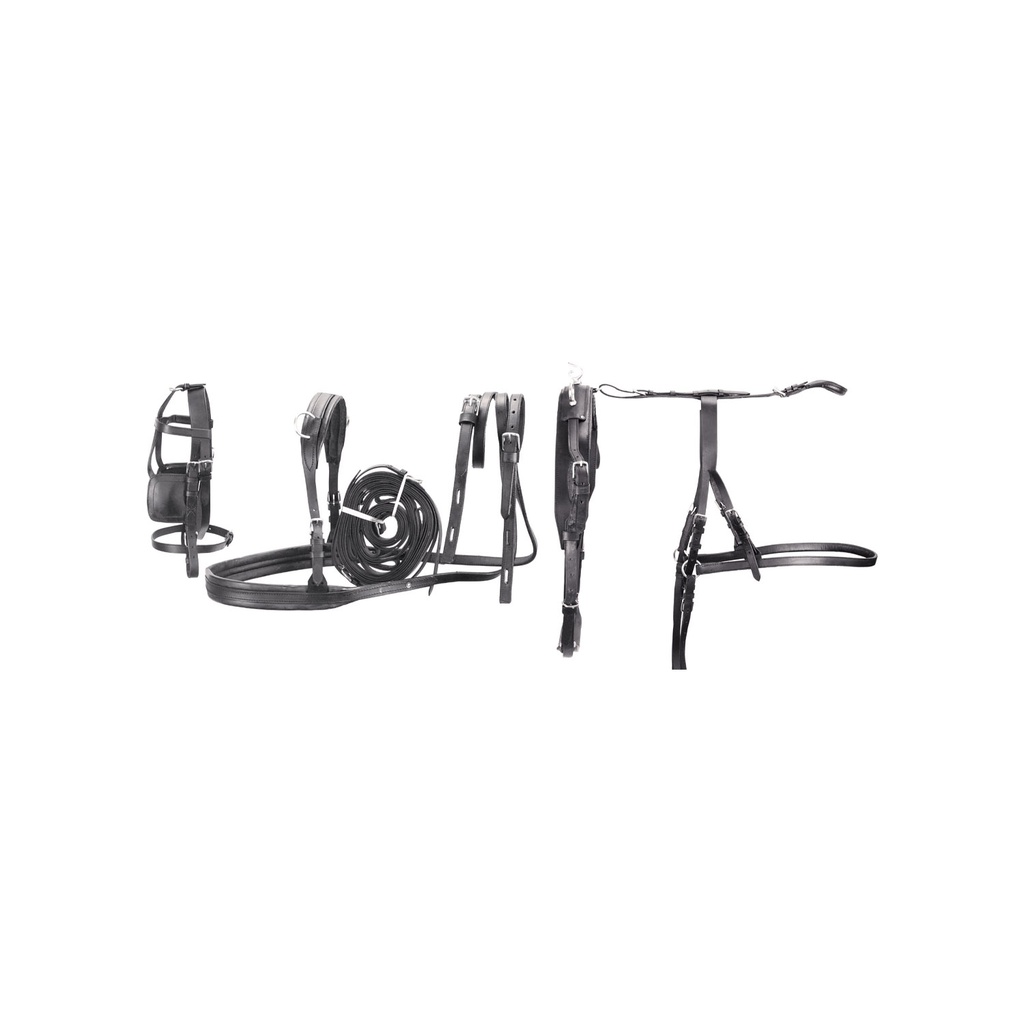 Conjunto de atrelagem ponéi