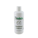 Shampoo seco (500 ml)