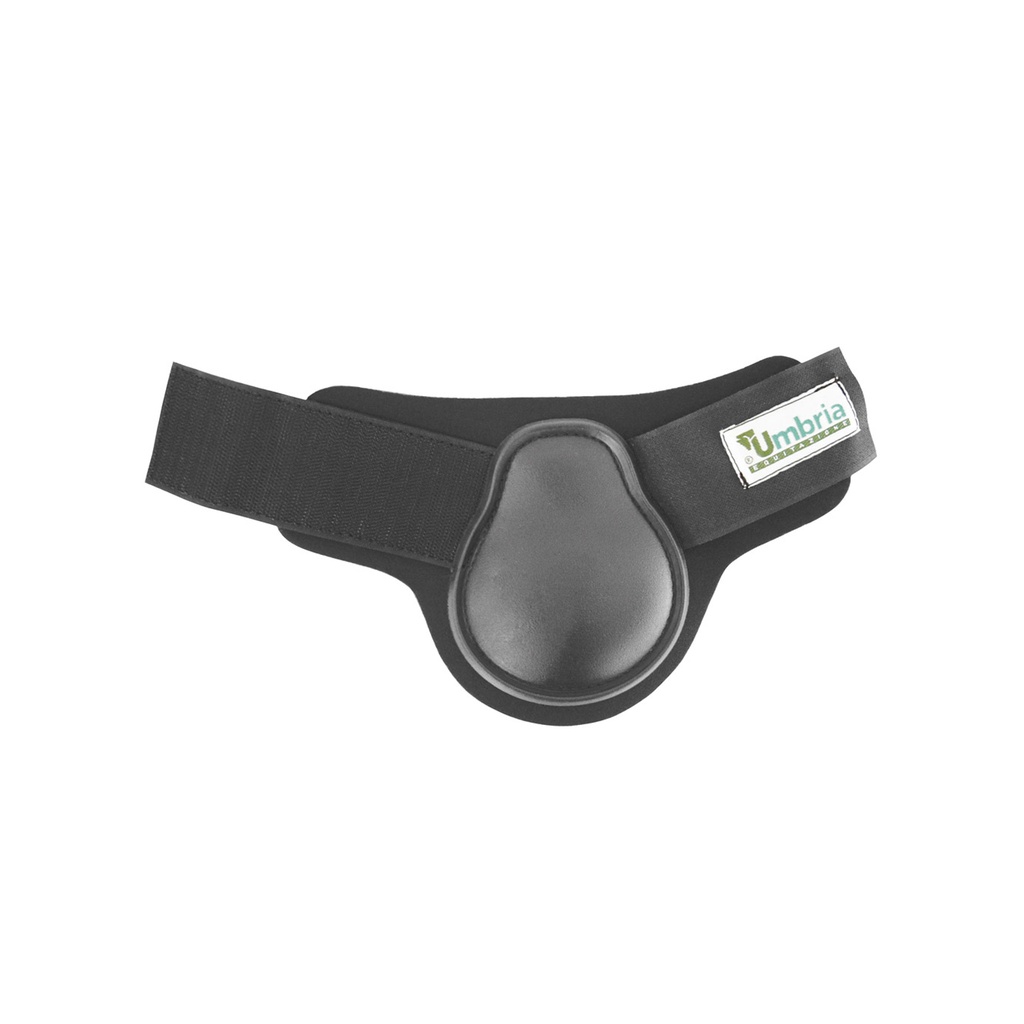 Protector de Boleto Amahorse Old