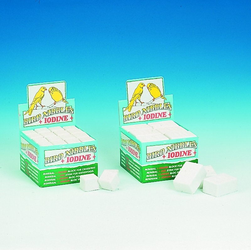 Recompensas para Pássaros 