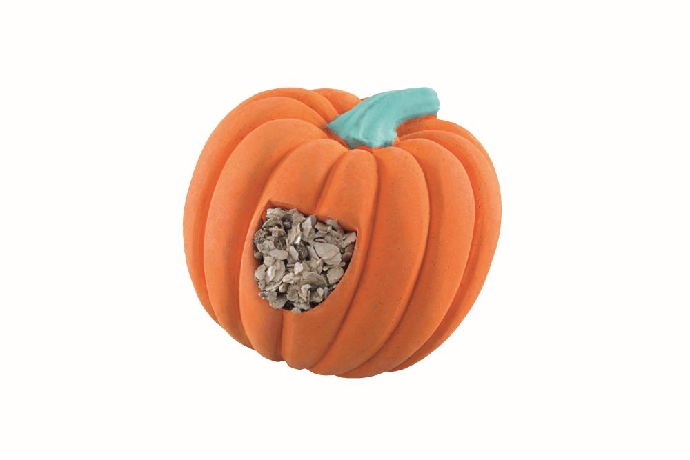 Recompensa para Pássaros