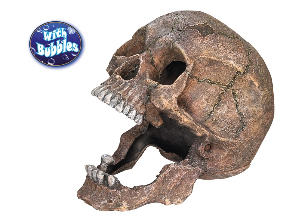 Decoração para Aquários, Lagos e Mesas "SCULL"