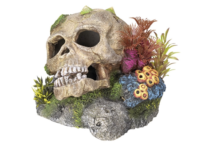 Decoração para Aquários, Lagos e Mesas com plantas "SCULL"