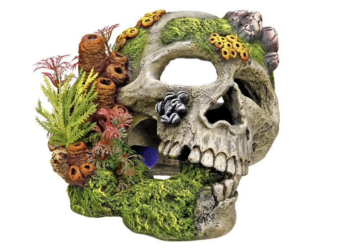 Decoração para Aquários, Lagos e Mesas "SCULL"