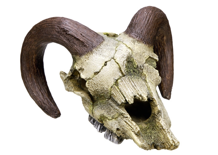 Decoração para Aquários, Lagos e Mesas "RAM SKULL"