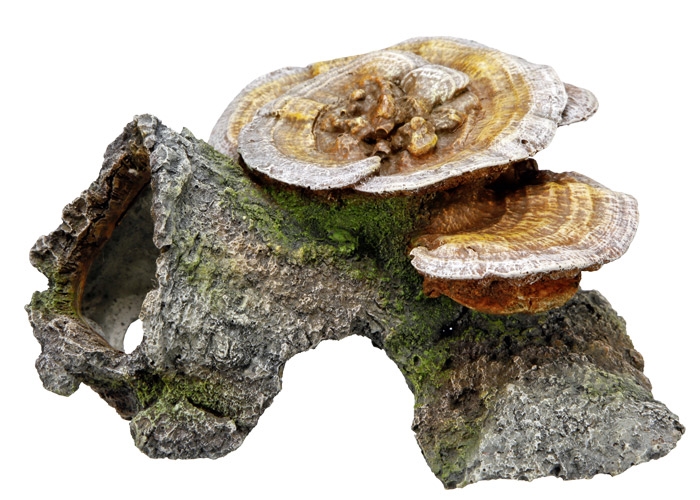 Decoração para Aquários, Lagos e Mesas "WOOD CAVE WITH MUSHROOMS"