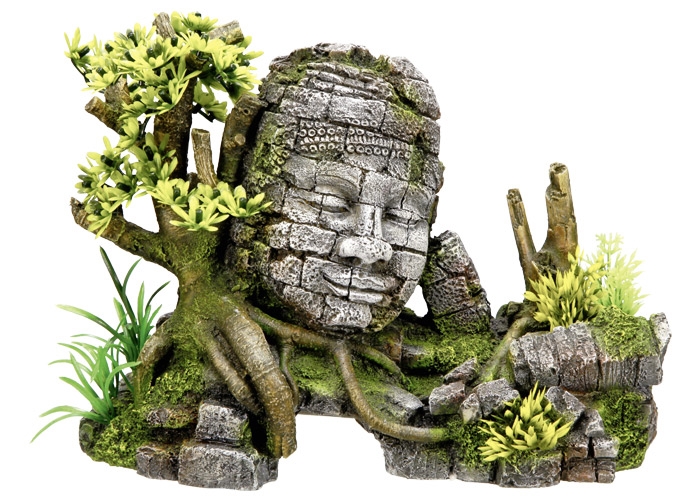 Decoração para Aquários, Lagos e Mesas com plantas "ANGKOR WATT"