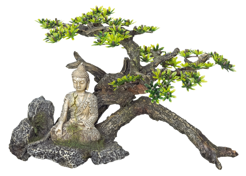 Decor Aqua com plantas "Buddha" 