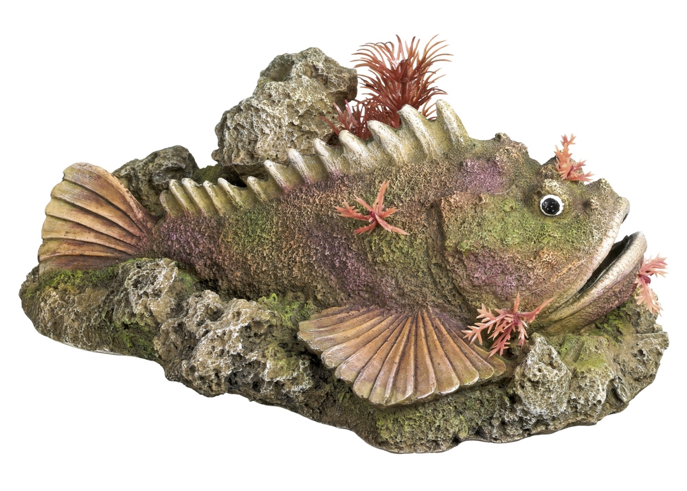 Decor Aqua com plantas "STONE FISH"