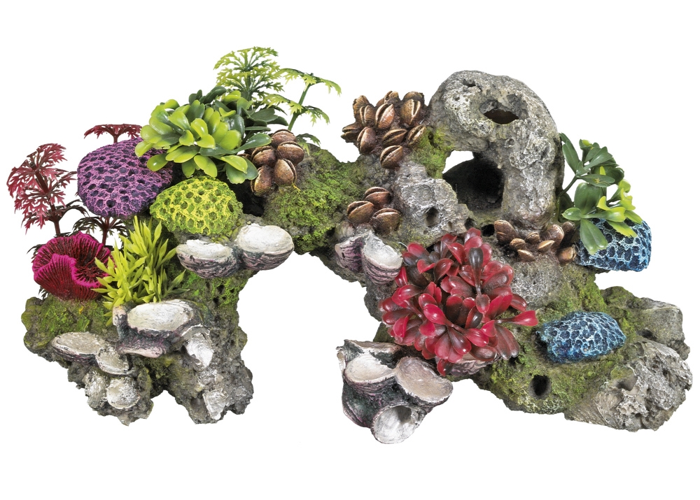 Decor Aqua com plantas "Coral"