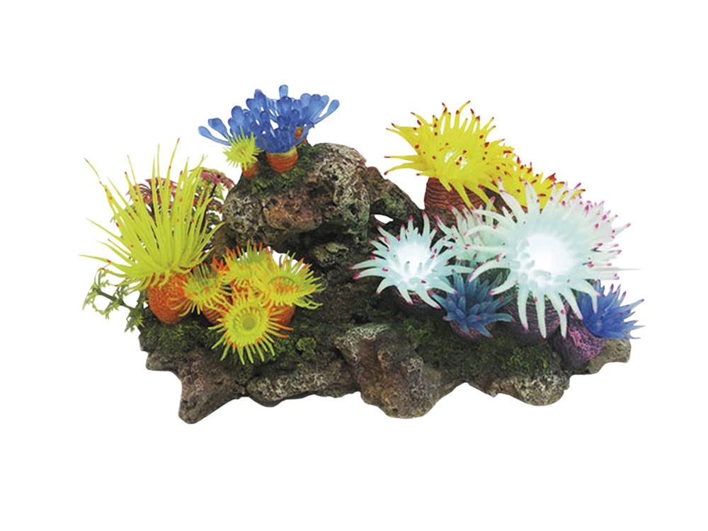 Decor Aqua com plantas e LED "APLYSINA"
