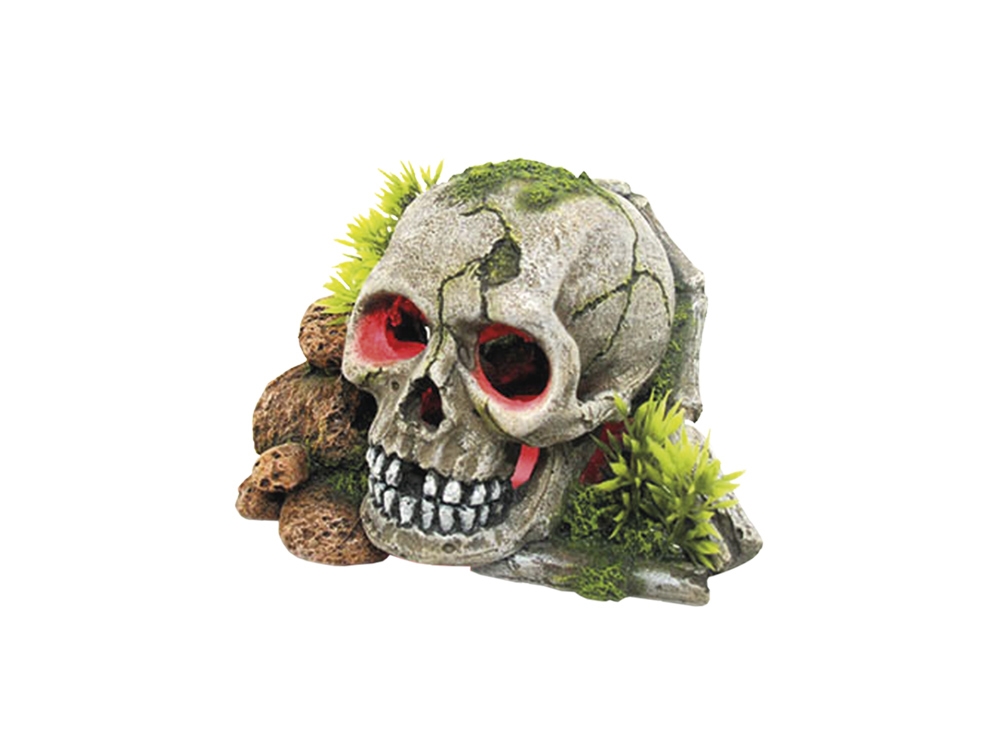 Decor Aqua com LED e plantas "SKULL"