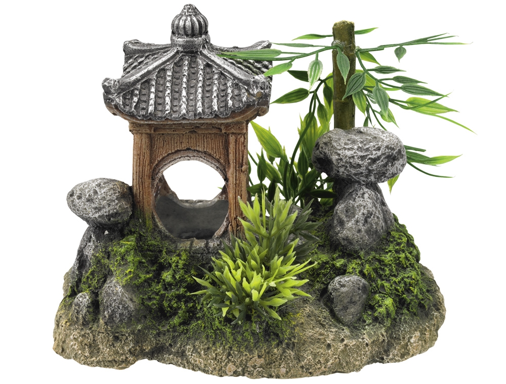 Decor Aqua com plantas "ASIAN TEMPLE"