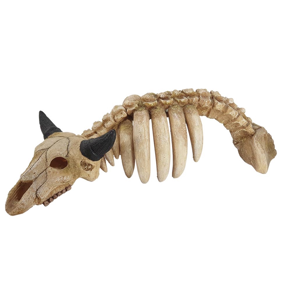 Decor Aqua "ANIMAL SKELETON"